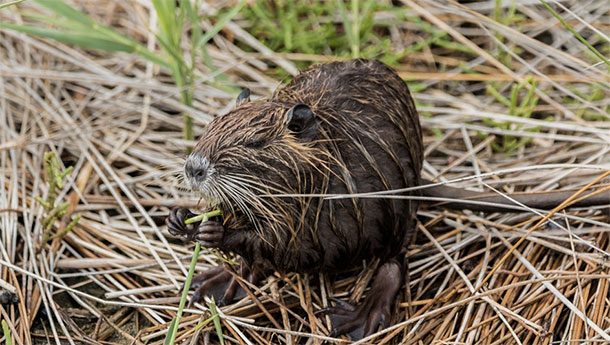 (25)25-prashanja-na-koi-ne-sakate-da-im-go-znaete-odgovorot-kafepauza.mk