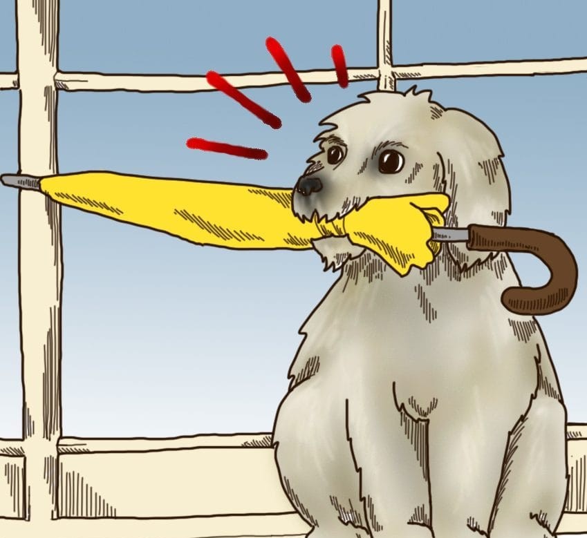 (2)6-toto-setilo-na-kuchinjata-shto-mozhe-da-predvidi-vasheto-mileniche-kafepauza.mk