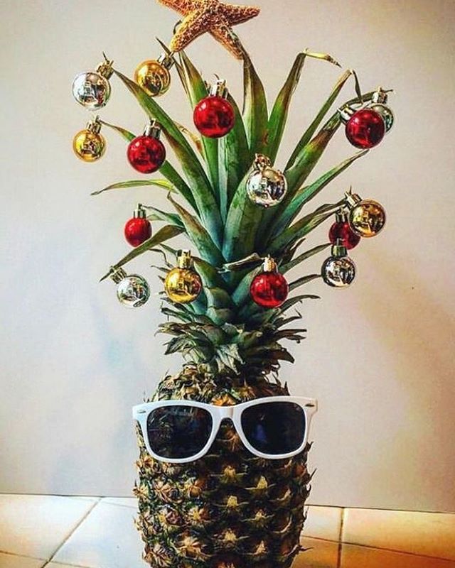 3-ananas-novogodishnite-elki-se-trend-broj-eden-na-socijalnite-mrezhi-www,kafepauza.mk_