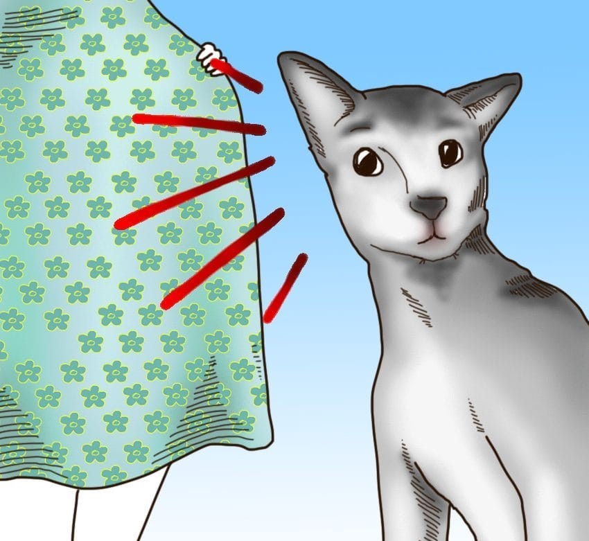 (3)6-toto-setilo-na-kuchinjata-shto-mozhe-da-predvidi-vasheto-mileniche-kafepauza.mk