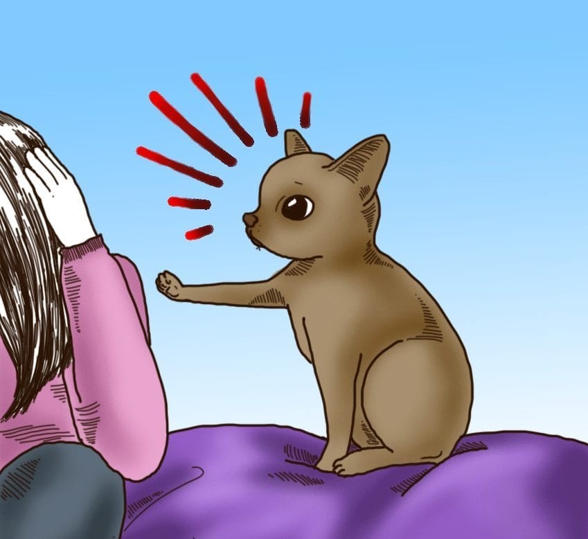 (4)6-toto-setilo-na-kuchinjata-shto-mozhe-da-predvidi-vasheto-mileniche-kafepauza.mk