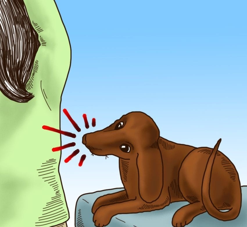 (5)6-toto-setilo-na-kuchinjata-shto-mozhe-da-predvidi-vasheto-mileniche-kafepauza.mk