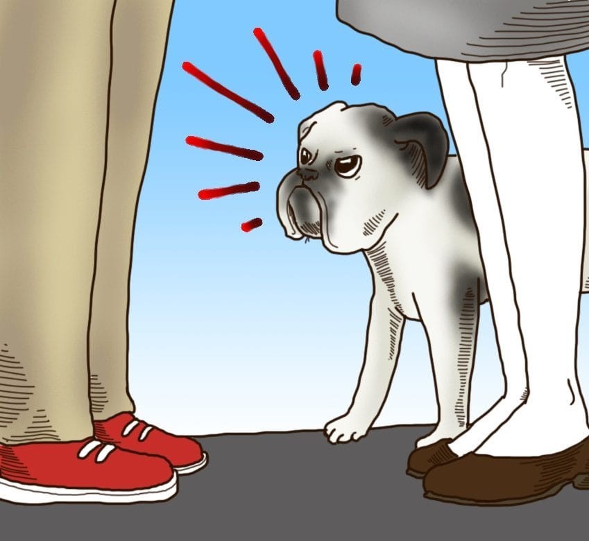 (6)6-toto-setilo-na-kuchinjata-shto-mozhe-da-predvidi-vasheto-mileniche-kafepauza.mk