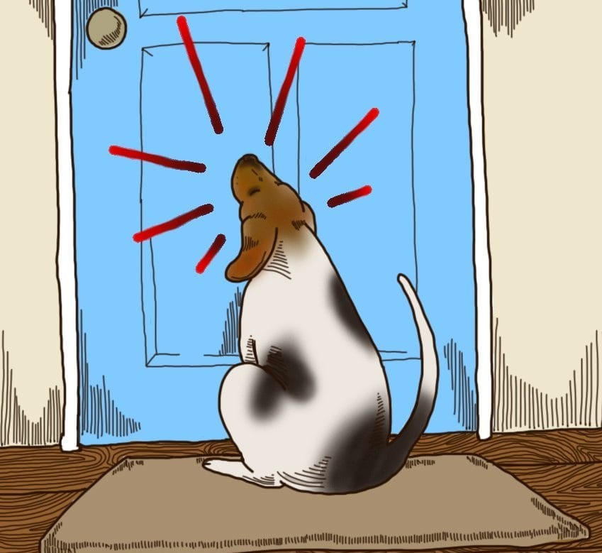 (7)6-toto-setilo-na-kuchinjata-shto-mozhe-da-predvidi-vasheto-mileniche-kafepauza.mk