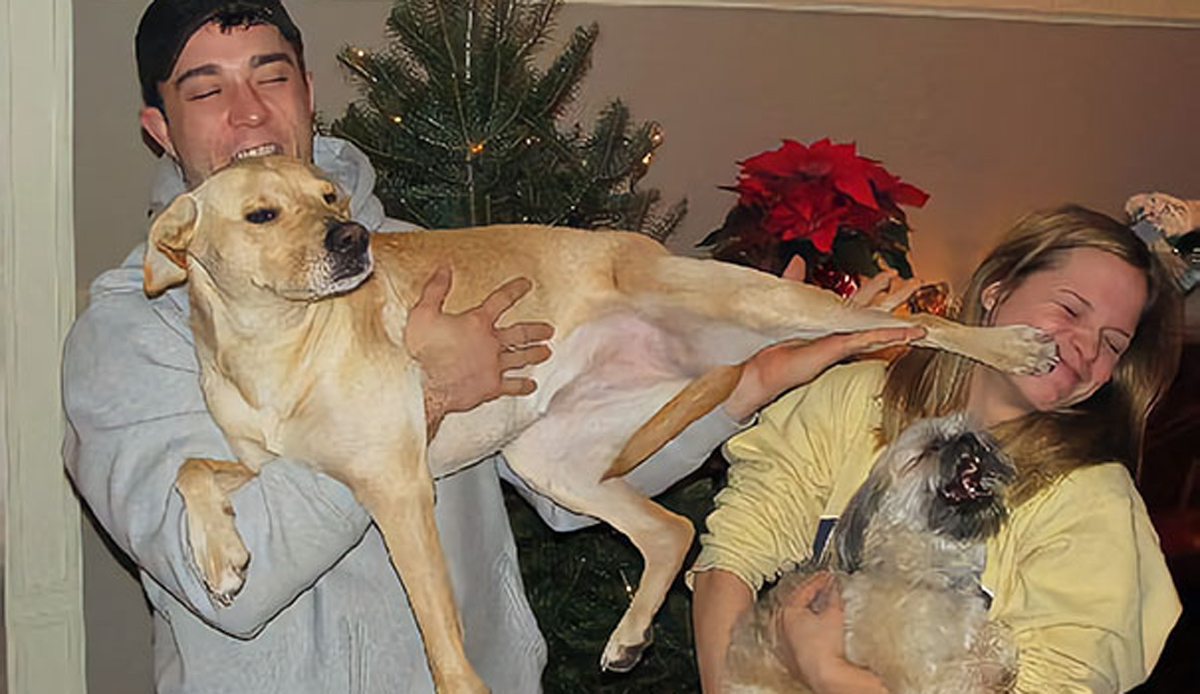 Домашни миленици кои без грижа на совест ги украле љубовните партнери на нивните сопственици