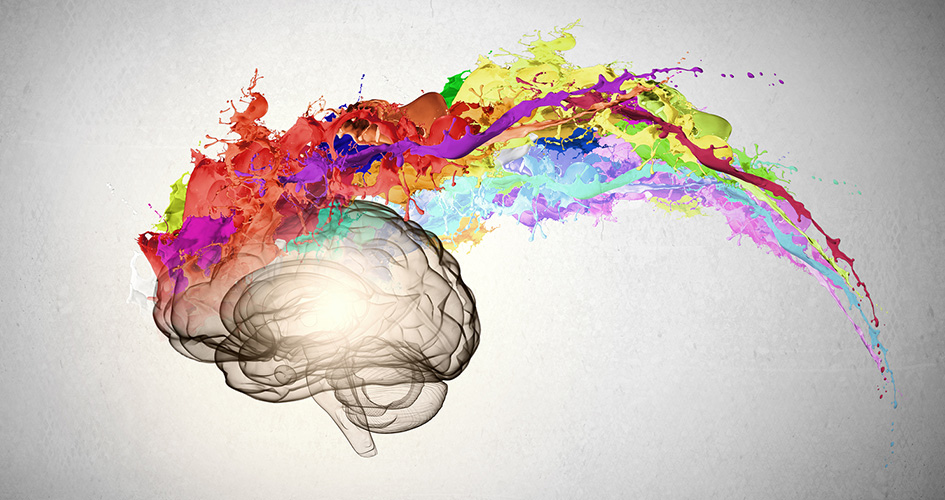 spored-nauchnicite-umot-ne-e-povrzan-so-mozokot-kafepauza.mk