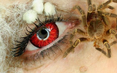 Ќе останете без зборови: Шминкерка користи вистински инсекти во нејзината мејкап рутина!