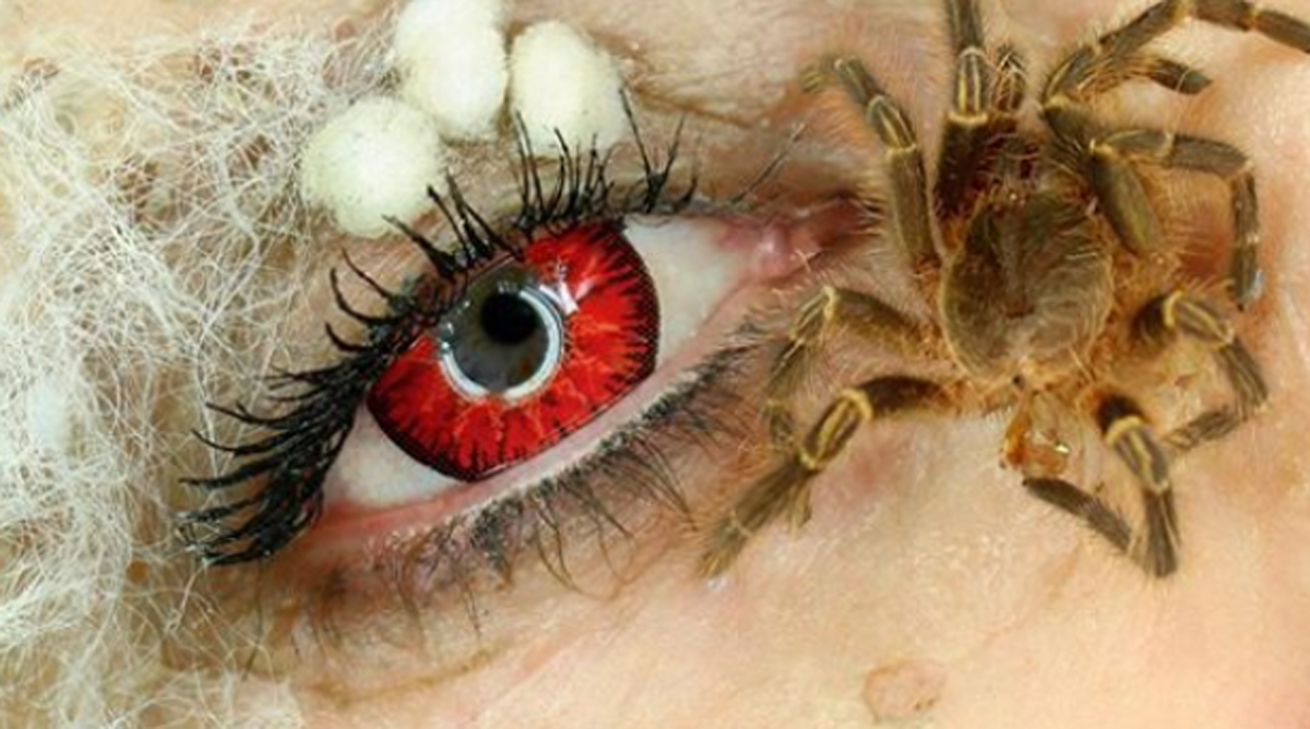 Ќе останете без зборови: Шминкерка користи вистински инсекти во нејзината мејкап рутина!