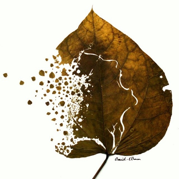 Необична уметност: Суви лисја претворени во деликатни уметнички дела!