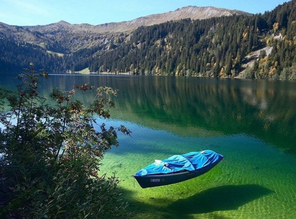 15 интересни факти за магичниот Нов Зеланд