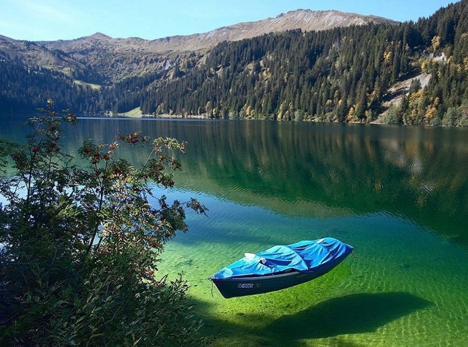 15 интересни факти за магичниот Нов Зеланд
