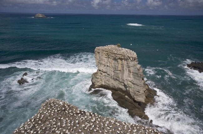 15 интересни факти за магичниот Нов Зеланд