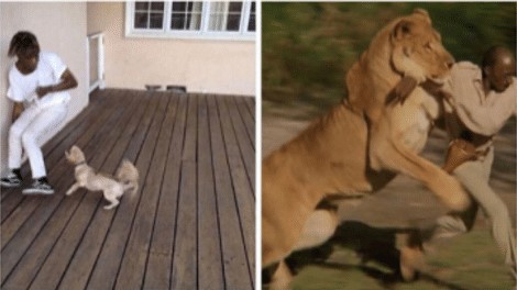 23 луѓе кои ја сфатиле суштината на животот