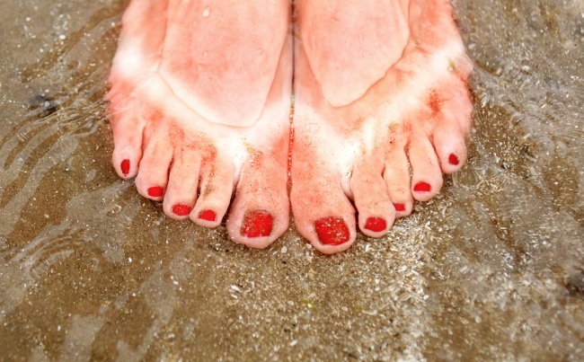 15 интересни факти за магичниот Нов Зеланд