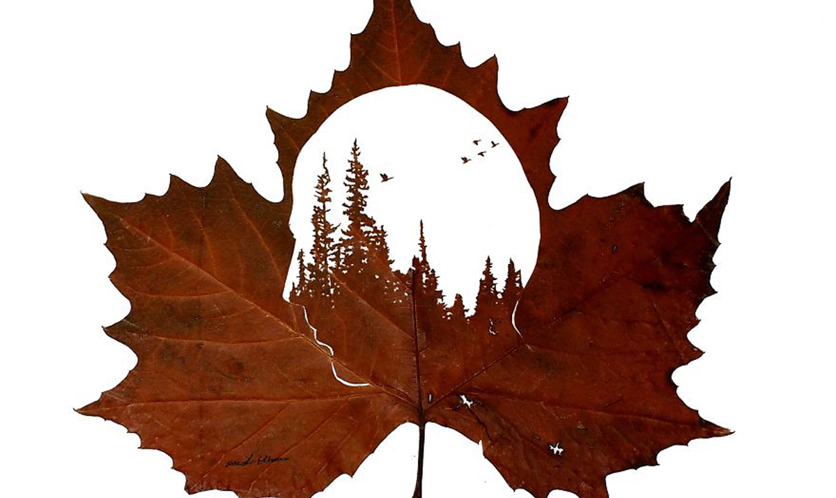 Необична уметност: Суви лисја претворени во деликатни уметнички дела!