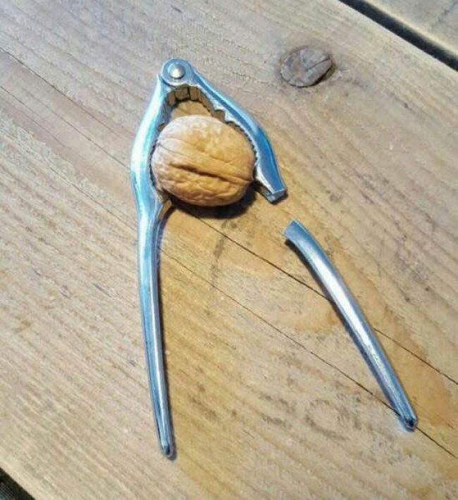 23 луѓе кои ја сфатиле суштината на животот