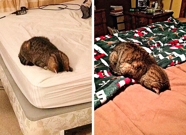 23 луѓе кои ја сфатиле суштината на животот