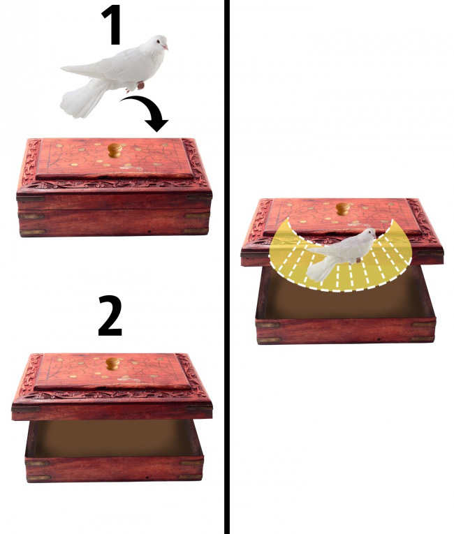 Тајните зад 9 магионичарски трикови што ќе ги импресионираат и најголемите скептици
