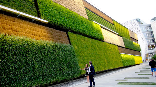 10 работи што децата родени во 2018-та година можеби никогаш нема да ги искусат