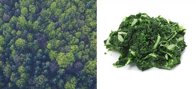 23 луѓе кои ја сфатиле суштината на животот