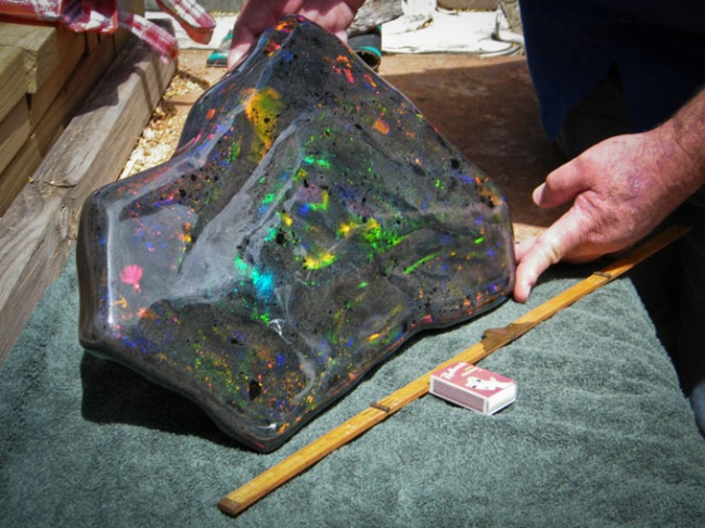 9 сосема обични луѓе кои случајно откриле големи богатства