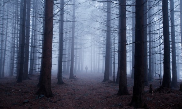 Каков ефект имаат кошмарите на нашиот мозок и како да ги надминете?