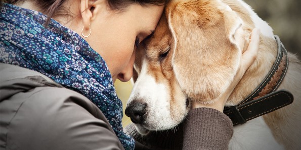 Професор се обидува да создаде преведувач за животни