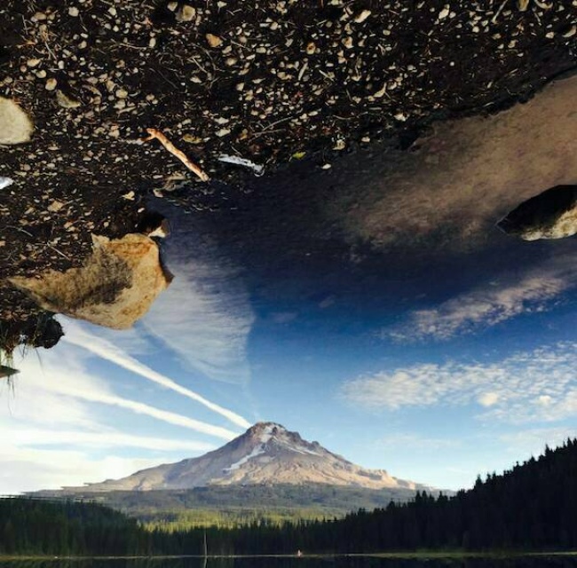 26 фотографии за кои не е потребен Фотошоп