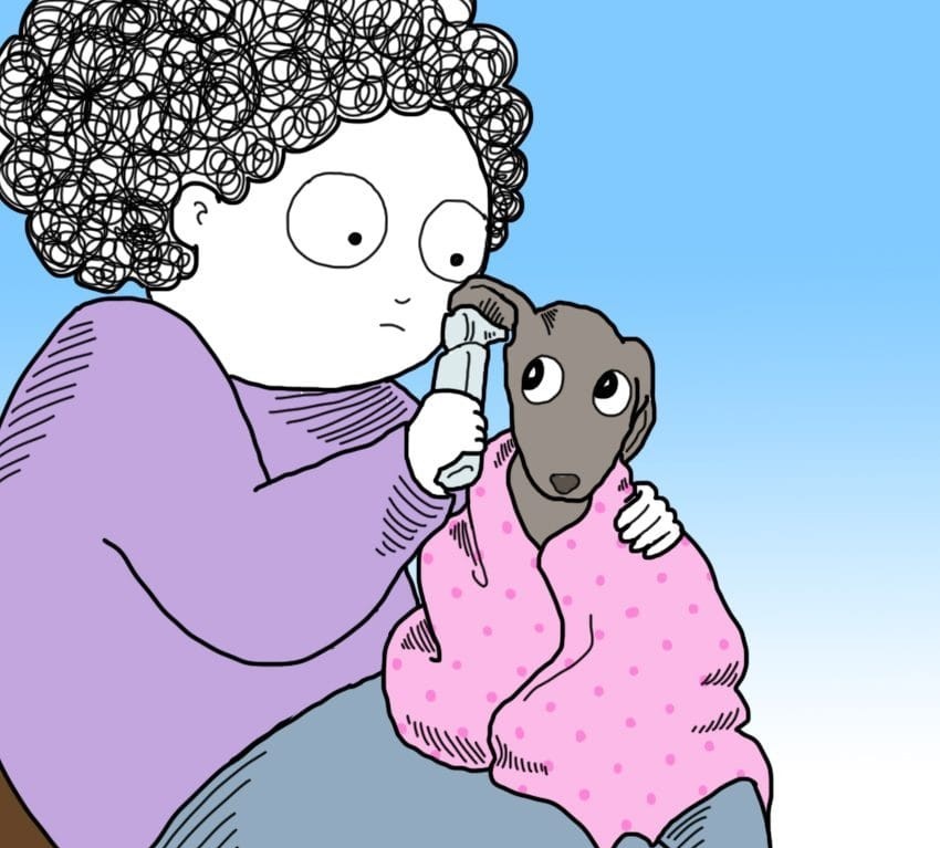 9 суптилни, но алармантни знаци дека вашето куче можеби има треска