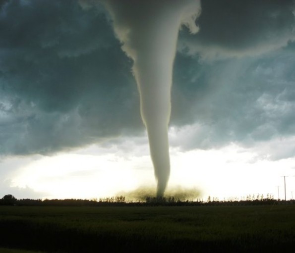 25 бизарни светски рекорди кои никој не сака да ги сруши