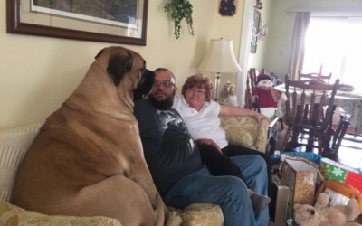 27 семејства чиј живот е полн со забава