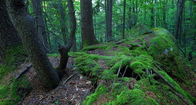 18 популарни митови кои воопшто не се вистинити