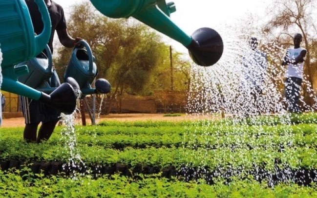 17 митови за Африка во кои сите веруваме