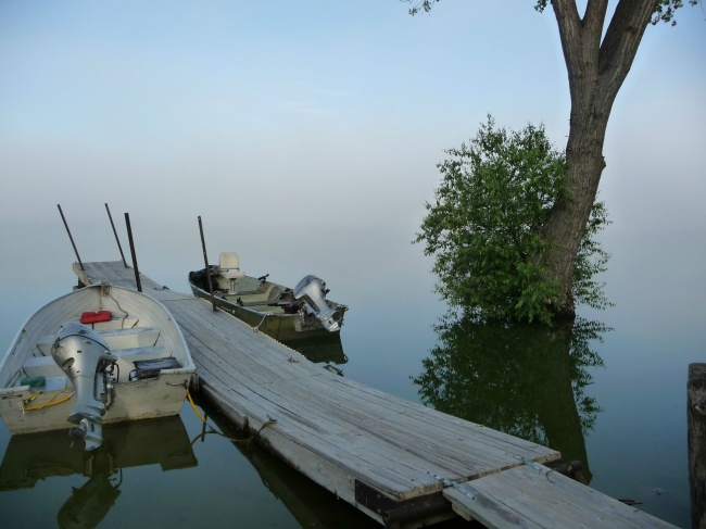 26 фотографии за кои не е потребен Фотошоп