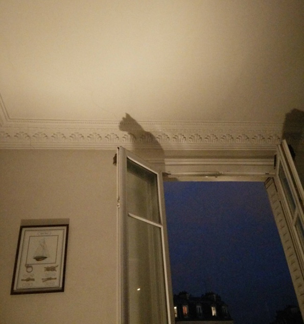 (20) 20-fotografii-shto-morate-da-gi-poglednete-dva-pati-za-da-sfatite-shto-se-sluchuva-na-niv-www.kafepauza.mk