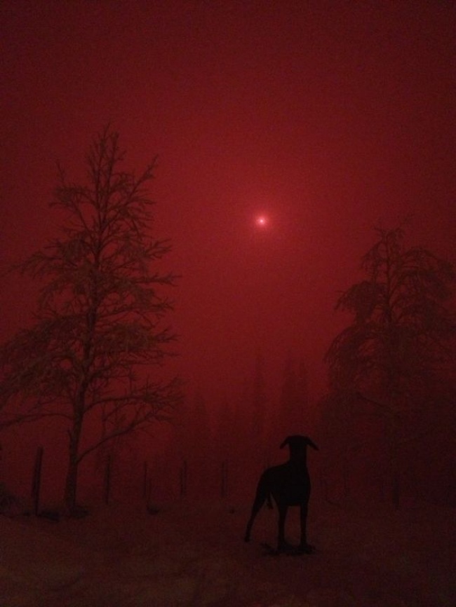 26 фотографии за кои не е потребен Фотошоп