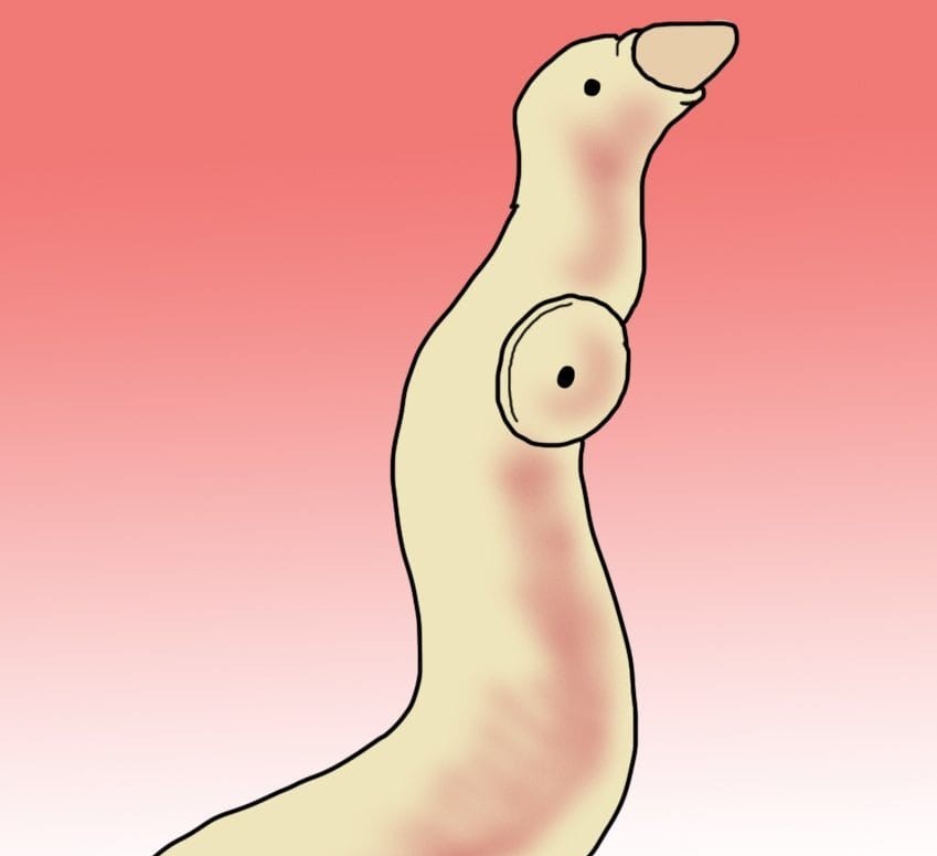 9 паразити што можеби веќе живеат во вашето тело