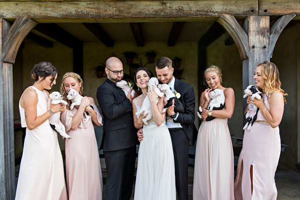 Неодоливи фотографии: Овој пар ги заменил свадбените букети со мали кутриња