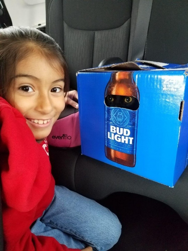 27 семејства чиј живот е полн со забава