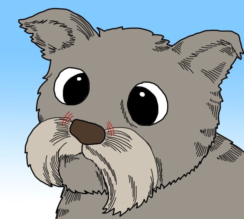 9 суптилни, но алармантни знаци дека вашето куче можеби има треска