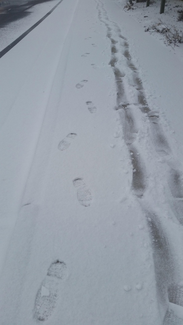 Неколку ситуации што ќе ве уверат дека постојат само 2 типа луѓе во светот