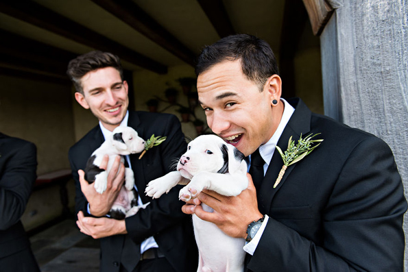 Неодоливи фотографии: Овој пар ги заменил свадбените букети со мали кутриња