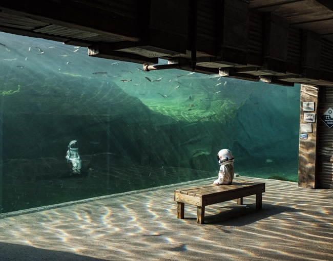 27 семејства чиј живот е полн со забава