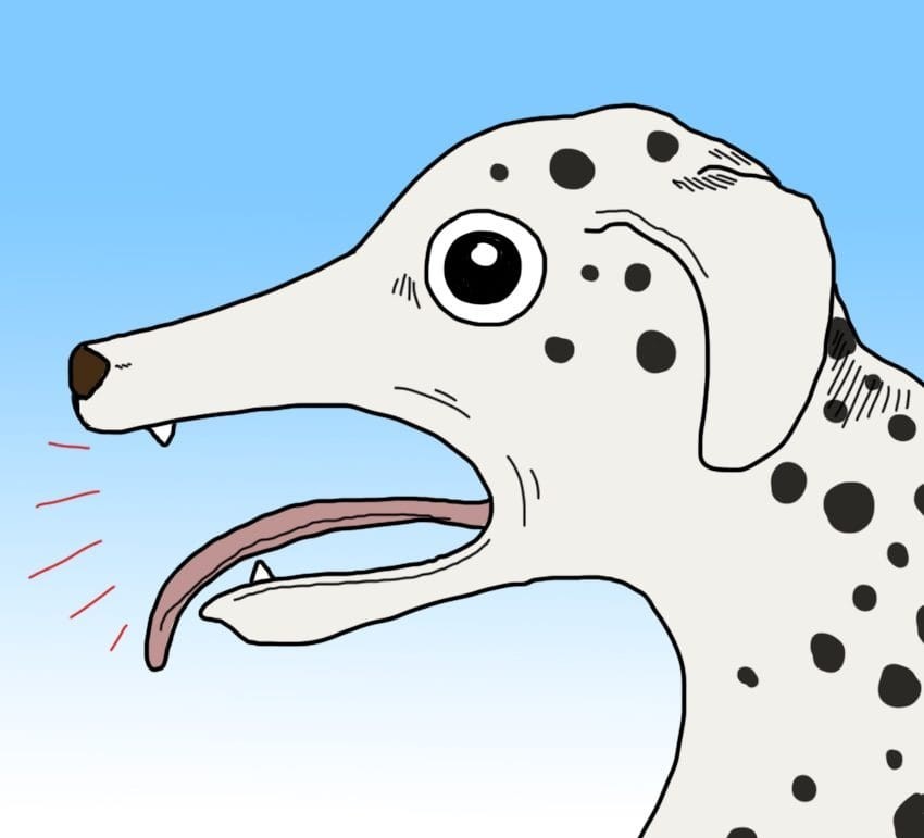 9 суптилни, но алармантни знаци дека вашето куче можеби има треска