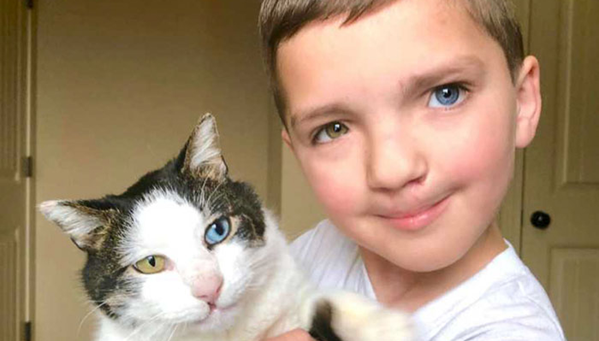 Малтретирано 7-годишно момче со различни очи и зајачка уста наоѓа мачка која е иста како него!