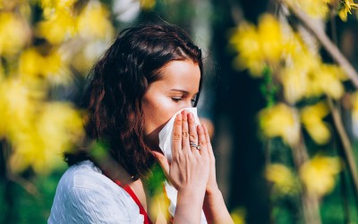 Научниците можеби нашле начин да ги спречат алергиските реакции уште пред да се случат