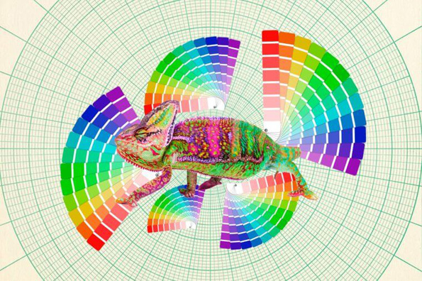 12 прашања од областа на науката што луѓето секогаш погрешно ги одговараат