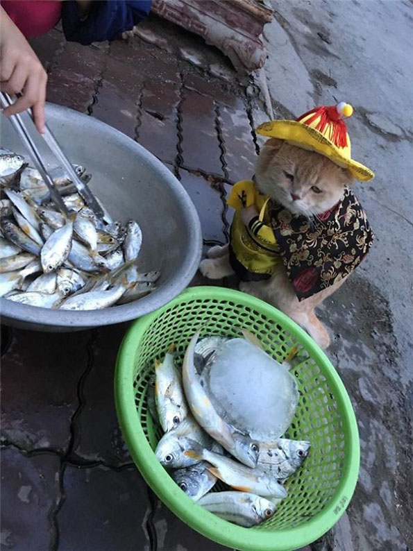 Запознајте го најслаткиот продавач на риба во Виетнам кој го освои Интернетот