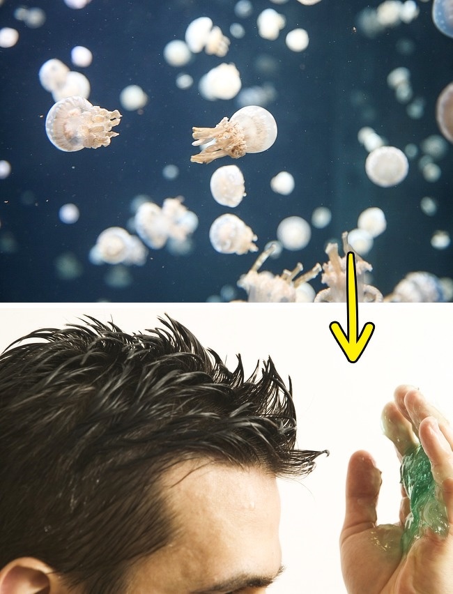 18 интересни историски факти коишто сигурно не ви ги кажале на училиште