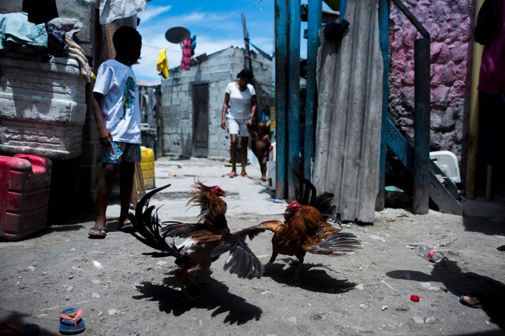 Погледнете ги фотографиите од најнаселениот остров на Земјата
